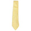 Salvatore Ferragamo Fish Tie