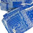 Bather Bandana Swim Shorts Size Small