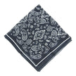 Isaia Hankerchief