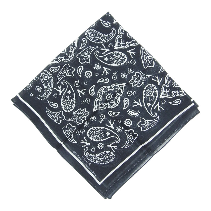 Isaia Hankerchief