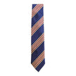 Michael J. Drake Blue/Burgundy/Gold Striped Tie