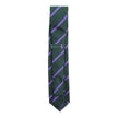 Michael J. Drake Green/Purple Stripe Tie