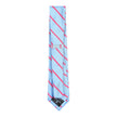 Etro Blue/Pink Striped Tie