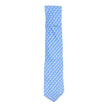 Salvatore Ferragamo Golf Tie
