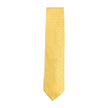 Giorgio Armani Gold Tie