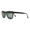 Oliver Peoples Black Daddy B Sunglasses