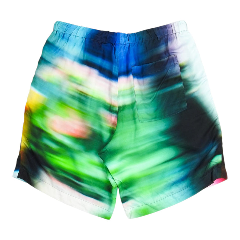 Dries Van Noten Multicolour Shorts Size 50